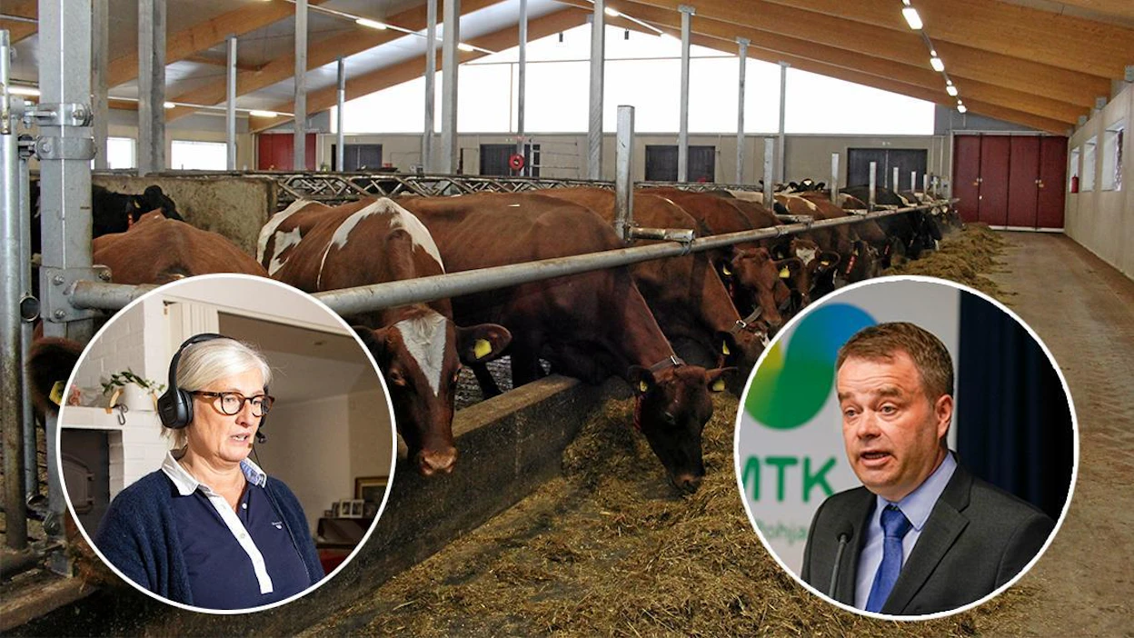 "Nyt tarvitaan joka aari tuotantoon. Maatilojen vaikeudet heijastuvat nopeasti huoltovarmuuteen ja kuluttajille", Janne Sankelo ja Tiina Perho kommentoivat.