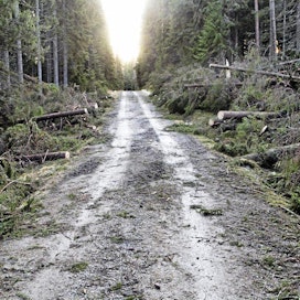 Puuhuoltoa ja puun hintaa auttaa, jos edes tien huonokuntoisimmat kohdat laitetaan ajokuntoon.