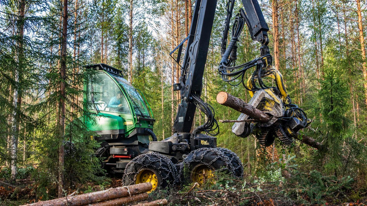 Kesäkuun hakkuista oli tukkia 1,7 ja kuitupuuta 2,3 miljoonaa kuutiometriä. Hakkuumäärät olivat samat kuin viime vuonna vastaavaan aikaan.