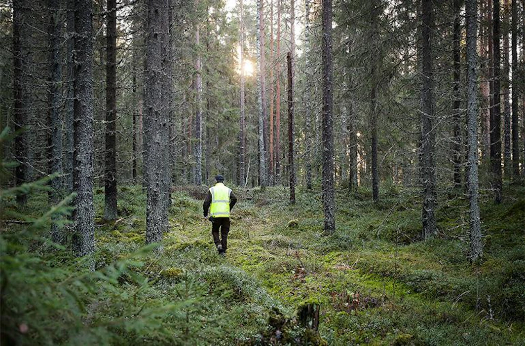 Noin neljännes metsänomistajista piti mahdollisena, että sijoittaisi metsäomaisuuden myynnistä saamansa rahat pörssiosakkeisiin. Saman verran harkitsisi sijoitusasuntoja tai rahastosijoittamista.