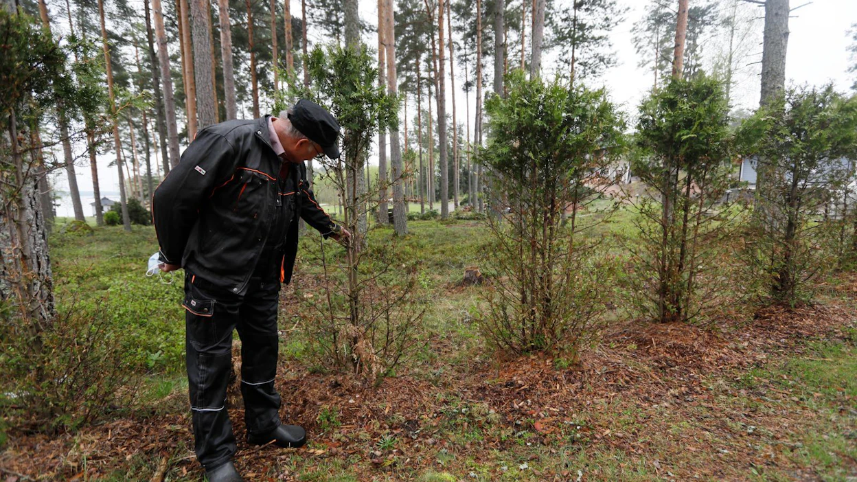 Juha Valtonen toteaa, että pinta-alaltaan seitsemän neliökilometrin kokoisella Velkuanmaalla pieniä hirvieläimiä on satoja ja jälki sen mukaista.