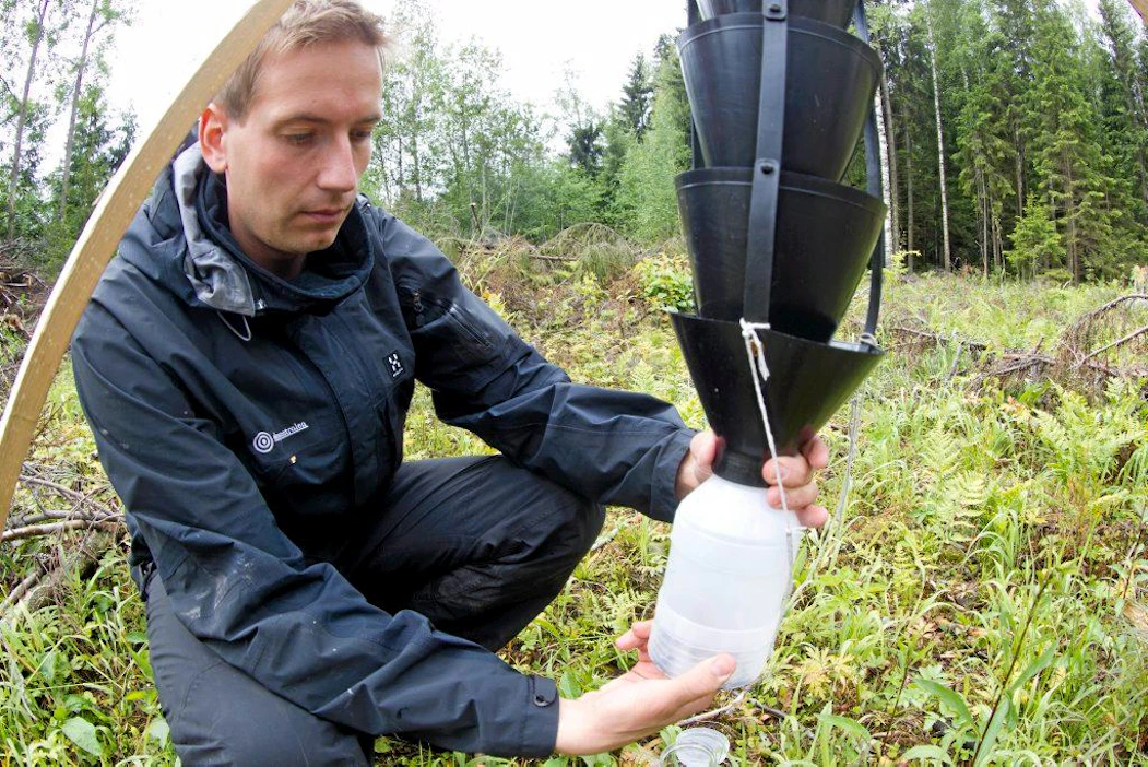 Kirjanpainaja tuho Kirjanpainajariskikohteiden tarkistusta Metsäkeskuksen metsäneuvoja Thomas Hansson feromoniansa näytteet Metlan tutkimuksiin