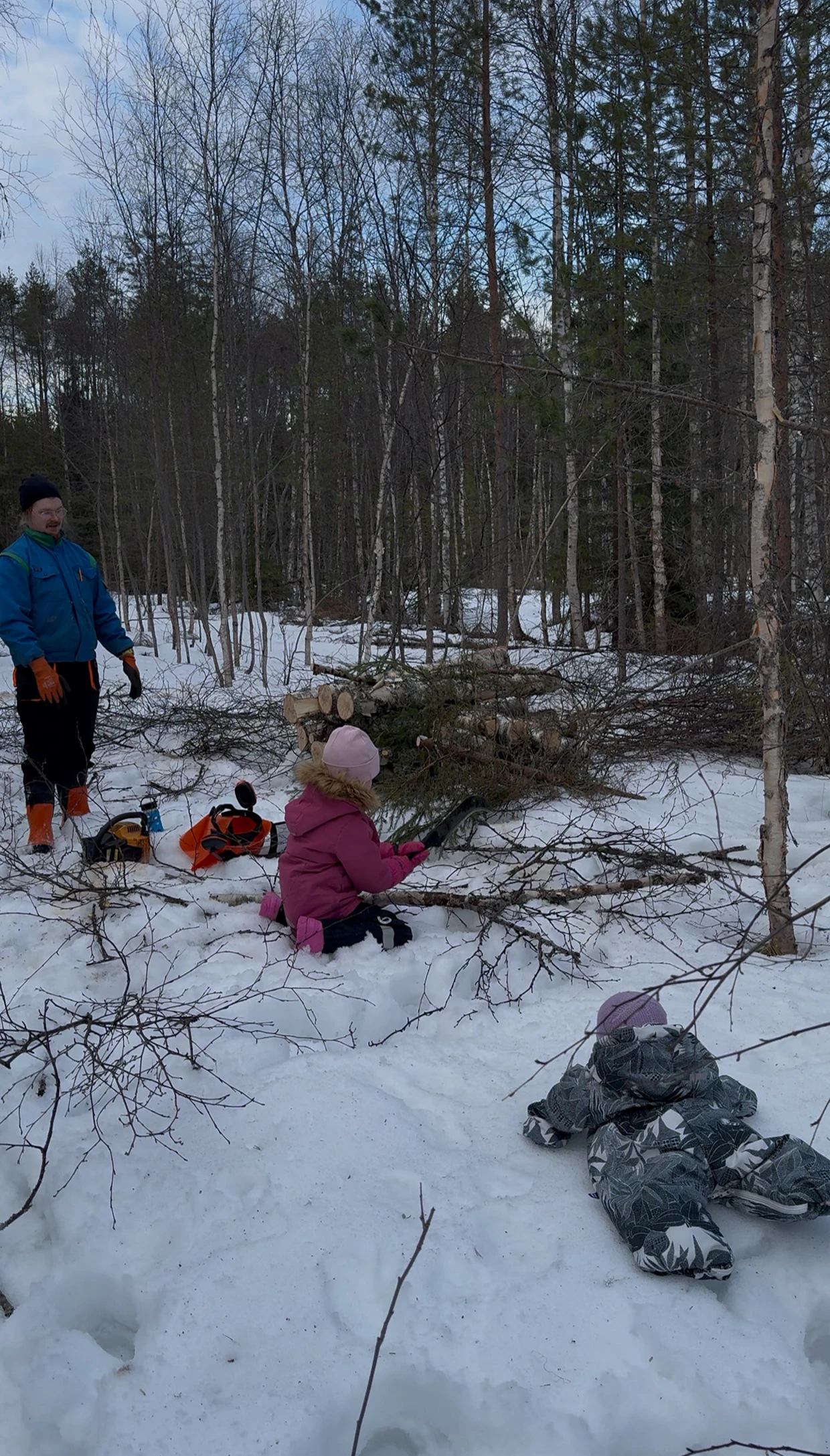 Kettunen ja tyttäret pääsivät kevättalvella metsähommiin. Esikoinen karsii oksia vesurilla ja puolivuotias pikkusiskokin on hommissa mukana.