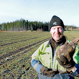 Sokerijuurikasta viljelevä Timo Rouhiainen päätti kokeilla syysvehnän kylvämistä juurikkaan jälkeen, mutta niin, että syysvehnä kylvetään viikkoa ennen nostoa kasvuston sekaan.