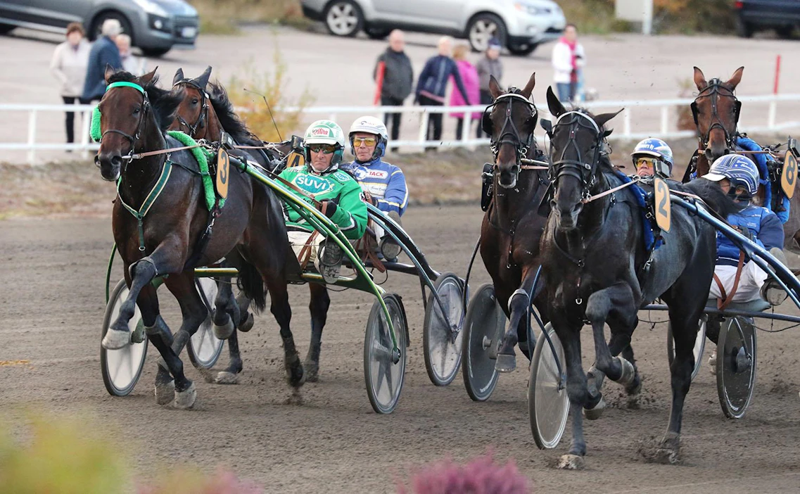 Kumpi vetää keskiviikkona Derby-kenraalissa? Kriteriumissa edettiin Lewis Alen johdolla ja Graceful Swamp sen rinnalla.