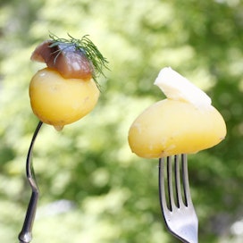 Sitruunakastike sopii hyvin varhaisperunan seuraksi. Kokeile myös sitruunalla maustettua voita.