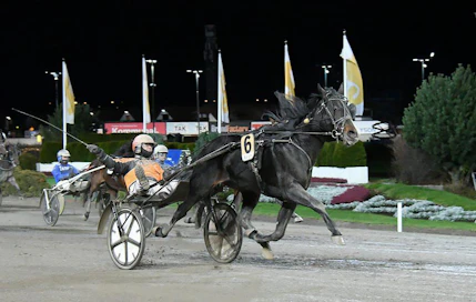 Tommi Kylliäisen ajama Workout Wonder tykitti viime syksynä kovalla loppukirillä Solvalla Grand Prix'n voittoon.