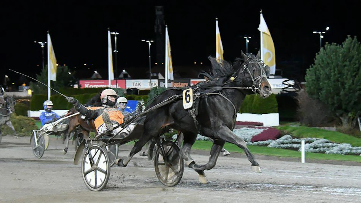 Tommi Kylliäisen ajama Workout Wonder tykitti viime syksynä kovalla loppukirillä Solvalla Grand Prix'n voittoon.