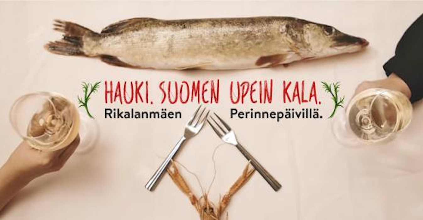 Hauki on hyvä kala! Mummon reseptit nousussa taas - Ruoka - Maaseudun  Tulevaisuus