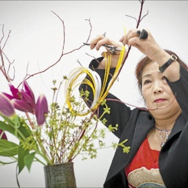 Mestariopettaja Koka Fukushima loi ikebana-asetelman oppilaansa Liisa Nurmisen 20-vuotisen opettajanuran kunniaksi. Kimmo Haimi
