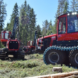 Kaikki Komatsun uudet hakkuukone- ja kuormatraktorimallit esiteltiin yleisölle metsänäytöstyömaalla Uumajassa kesäkuun puolivälissä.