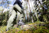 Kuluttajien kiinnostus metsäsijoittamiseen on ollut pitkään vilkastas rahastojen kautta. Kun rahaa kertyy rahastoille, niiden on löydettävä uusia kohteita markkinoilta.