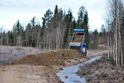 Tukia on tarjolla muun muassa metsäteiden perusparannuksiin.