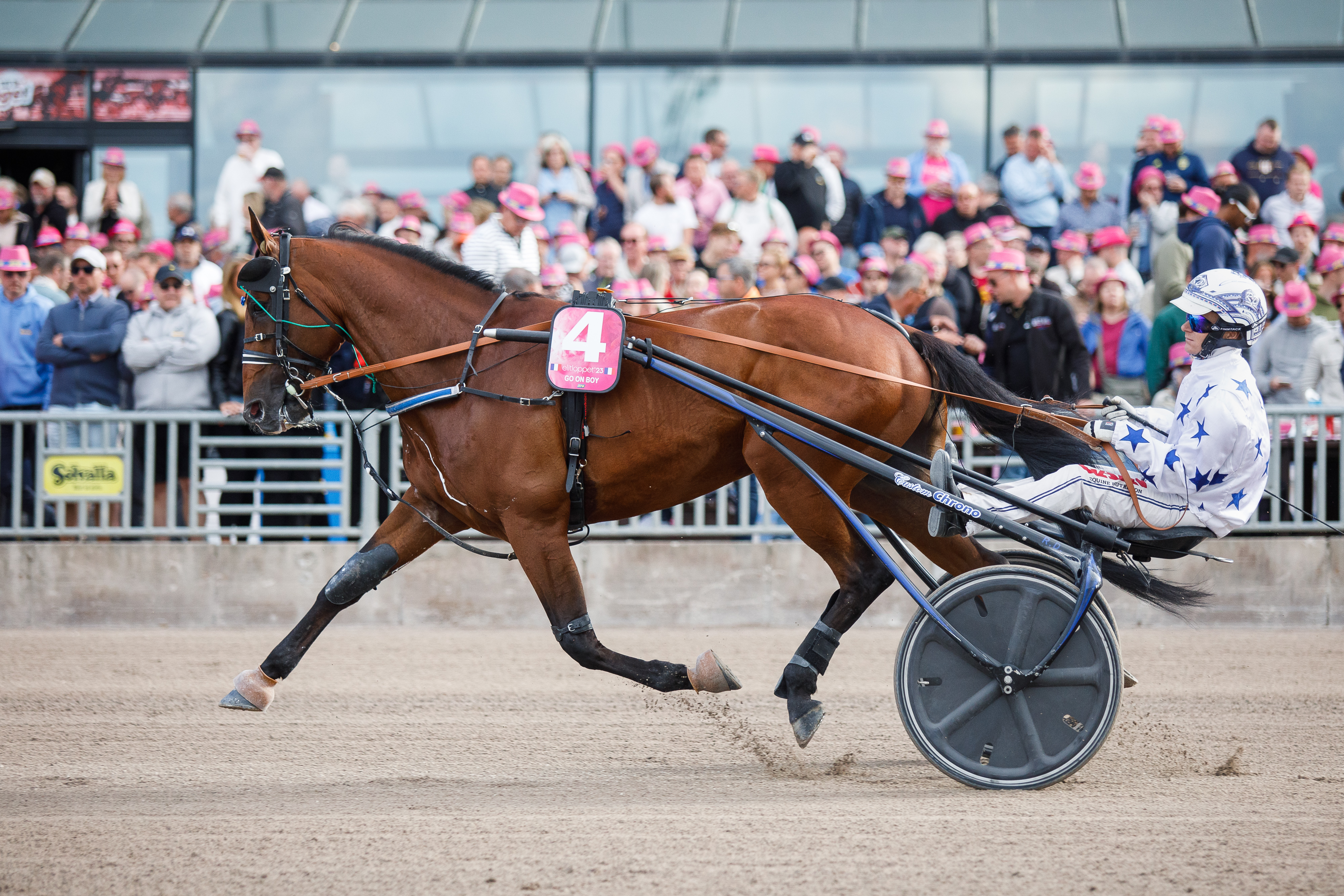 Go On Boy starttaa ykkösradalla Grand Critérium de Vitessessä.