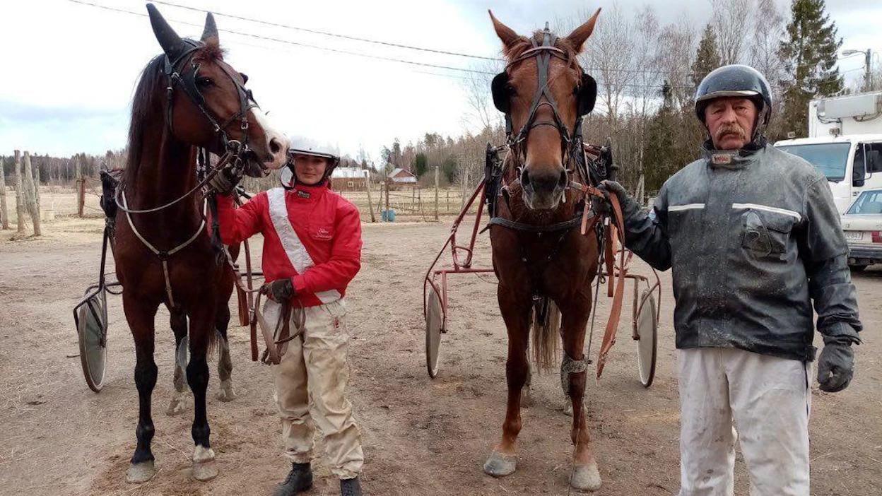 Elina ohjastaa usein treeniajoa isänsä Veikko Leinosen kanssa. Kuvassa Castano ja Aventador.