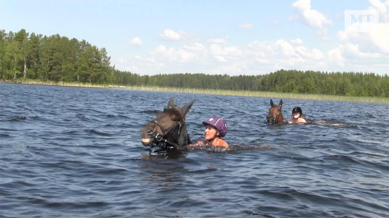 Karoliina Sinkkilä uittaa valmennuksessaan olevaa Edlancea Suonenjoen Saunaniemessä.