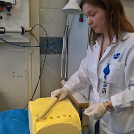 Tutkija Sanna Ylisjunttila-Huusko on ottamassa voinäytettä leivontateknisiä ominaisuuksia mittaavaa taivutuskoetta varten.