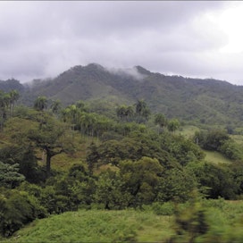 Metsiä raivataan pelloksi kehitysmaissa, koska väestön kasvu vaatii ruuan tuotannon lisäämistä. Suomea kiinnostaa tarjota teknistä osaamista metsien säilyttämiseksi. Kuvassa metsää Dominikaanisessa tasavallassa. Satu Lehtonen