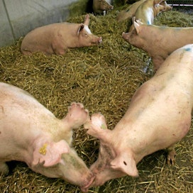 Eläinten hyvinvointia parantavat investoinnit yleensä lisäävät tuotantokustannuksia.