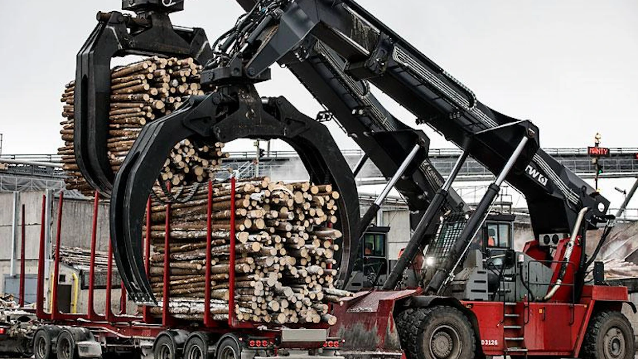 Metsäteollisuuden puuntarve vaihtelee, mikä näkyy leimikoista tehdyissä tarjouksissa.