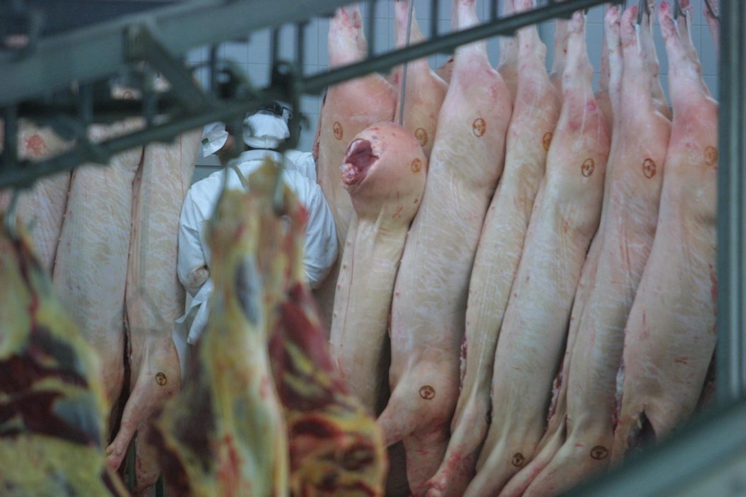 HK Scan kertoo käyvänsä tiivistä keskustelua henkilöstönsä kanssa Viron Rakveressa.