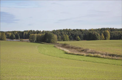 EU hyväksyisi suojakaistat ekologiseksi alaksi. Suomessa ne ovat kuitenkin osa ympäristökorvausta, eikä samalla toimenpiteellä voi saada kahta eri tukea. Markku Vuorikari