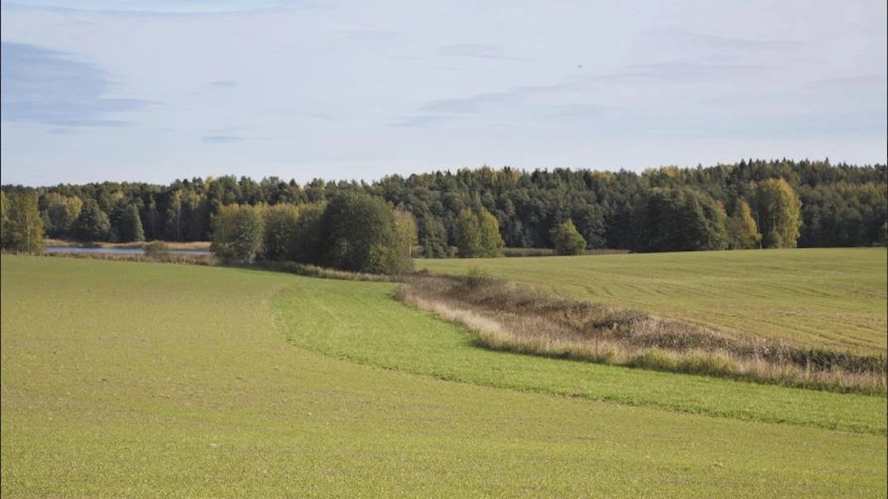 EU hyväksyisi suojakaistat ekologiseksi alaksi. Suomessa ne ovat kuitenkin osa ympäristökorvausta, eikä samalla toimenpiteellä voi saada kahta eri tukea. Markku Vuorikari