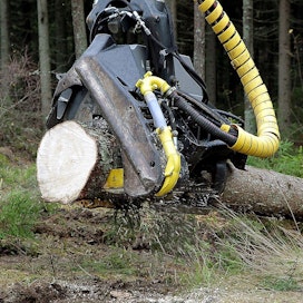 Etelä-Suomen metsistä on hakattu puuta viime vuosina lähes niiden hakkuumahdollisuuksien mukaisesti.