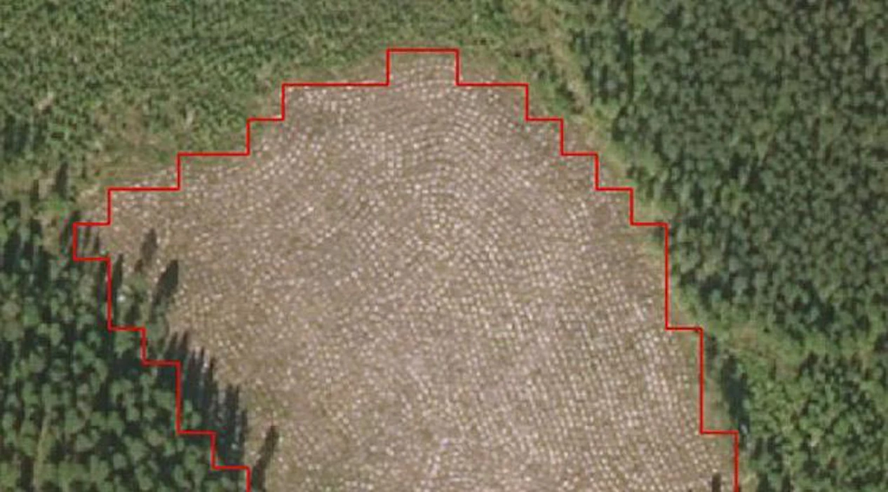 Satelliittikuvasta voidaan tunnistaa esimerkiksi avohakkuukohteet. Automaattitulkinnan tekemä aluerajaus punaisella.