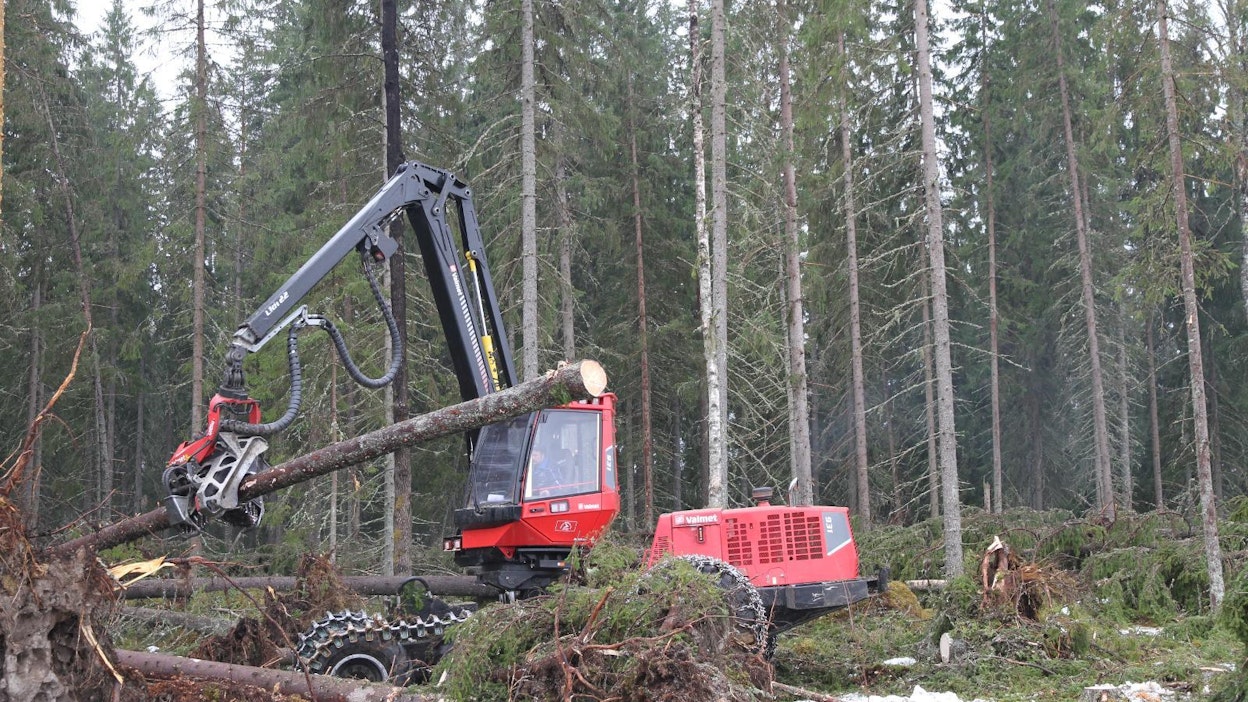 VTT:n mukaan Suomen olosuhteissa uusiutuvien polttoaineiden valmistus olisi edullisinta metsätähteistä.