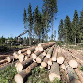 Puuvarastojen purkamisten ja kasvavan puuntuonnin myötä teollisuuspuun hakkuut vähenevät tänä vuonna viisi prosenttia 65 miljoonaan kuutiometriin. Tukkien hinnat alenevat 6–7 prosenttia, Luonnonvarakeskus ennustaa.