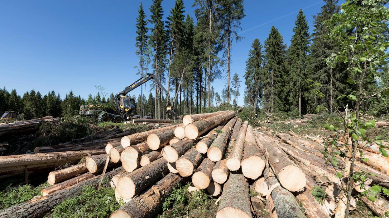 Puuvarastojen purkamisten ja kasvavan puuntuonnin myötä teollisuuspuun hakkuut vähenevät tänä vuonna viisi prosenttia 65 miljoonaan kuutiometriin. Tukkien hinnat alenevat 6–7 prosenttia, Luonnonvarakeskus ennustaa.