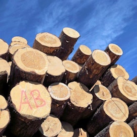 Metsänhoitoyhdistykset tarjoavat aiempaa aktiivisemmin puukaupan palveluja, kertoo Metsätutka-kysely.