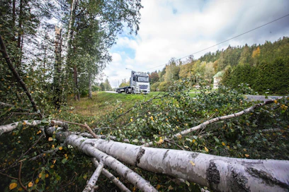 Sää aiheuttaa valtaosan metsien arvoa alentavista tuhoista. Luonnonvarakeskus Luken mukaan tulevaisuudessa myrskyt, metsäpalot ja sienituhot yleistyvät ja voimistuvat. Kuvassa näkyy syysmyrskyn tuhoja Vääksyssä vuonna 2018.