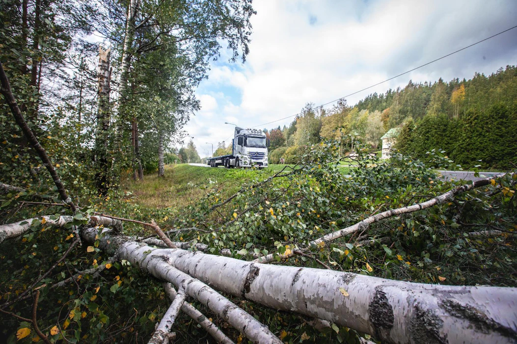 Sää aiheuttaa valtaosan metsien arvoa alentavista tuhoista. Luonnonvarakeskus Luken mukaan tulevaisuudessa myrskyt, metsäpalot ja sienituhot yleistyvät ja voimistuvat. Kuvassa näkyy syysmyrskyn tuhoja Vääksyssä vuonna 2018.
