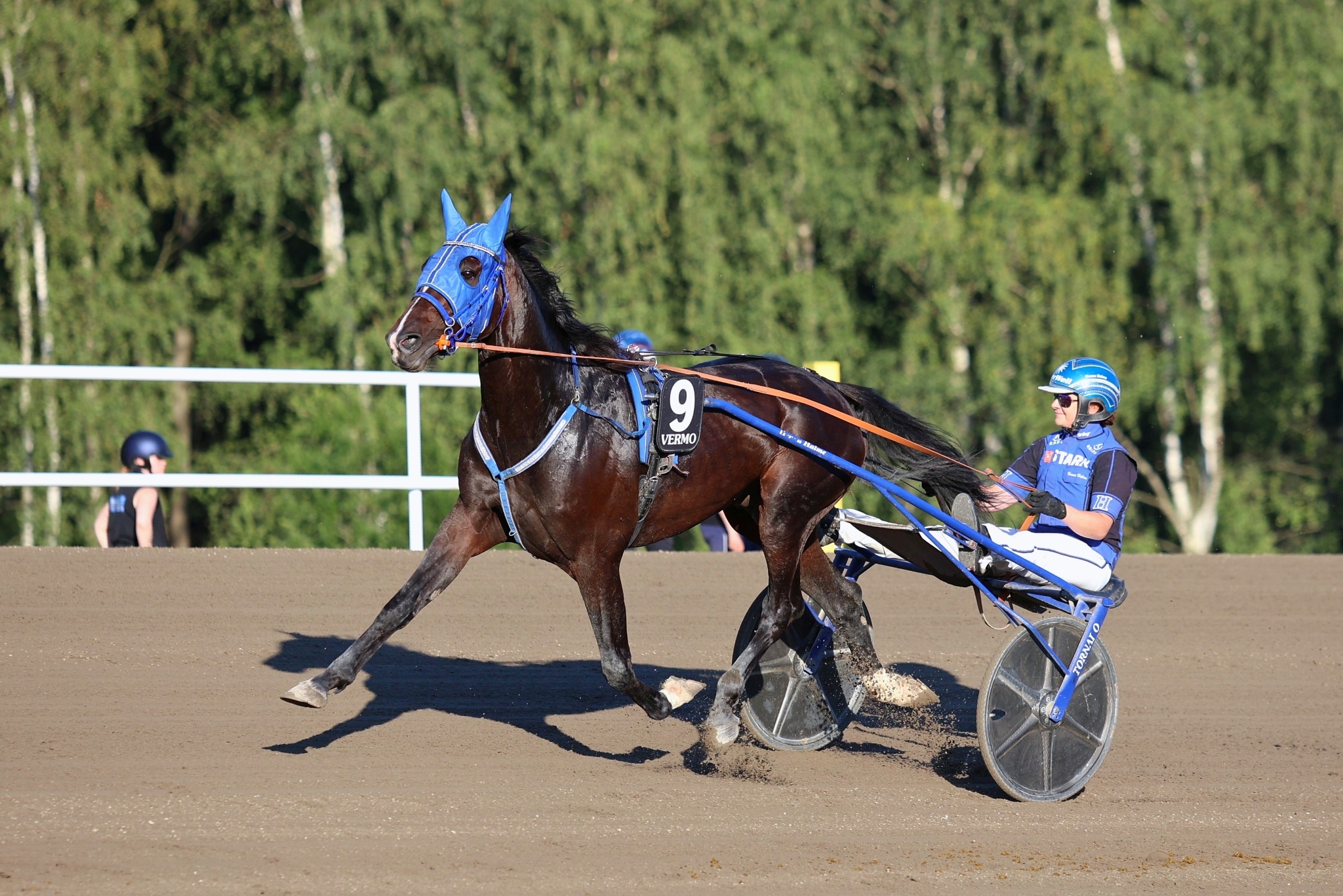 Kotiradan Venome ei starttaa illan derbykarsinnoissa. Kykyhevosen omistaja on Annamari Sipilä.