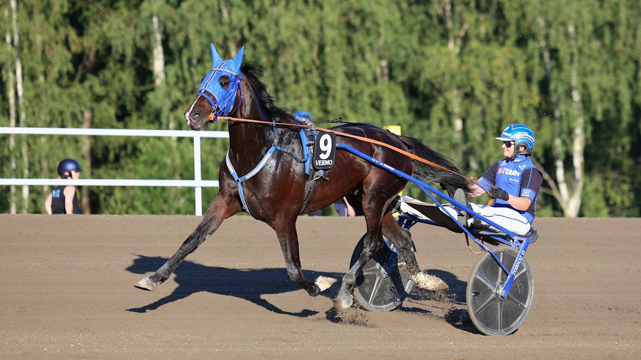 Kotiradan Venome ei starttaa illan derbykarsinnoissa. Kykyhevosen omistaja on Annamari Sipilä.
