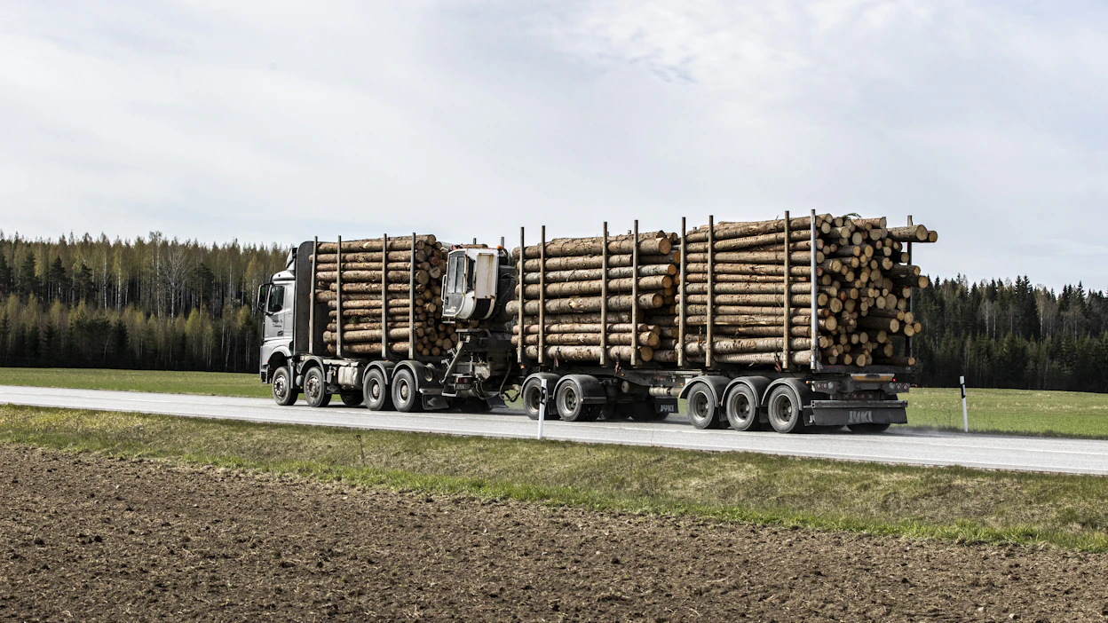 Metsäteollisuus ry:n mukaan teollisuus hankkii käyttämästään puuraaka-aineesta jopa 95 prosenttia kotimaasta. Kuvituskuva.