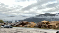 Tukin ja sahatavaran hinnat ovat laskeneet tänä vuonna Euroopassa. Kuvassa Bohinjska Bistrican saha Sloveniassa.