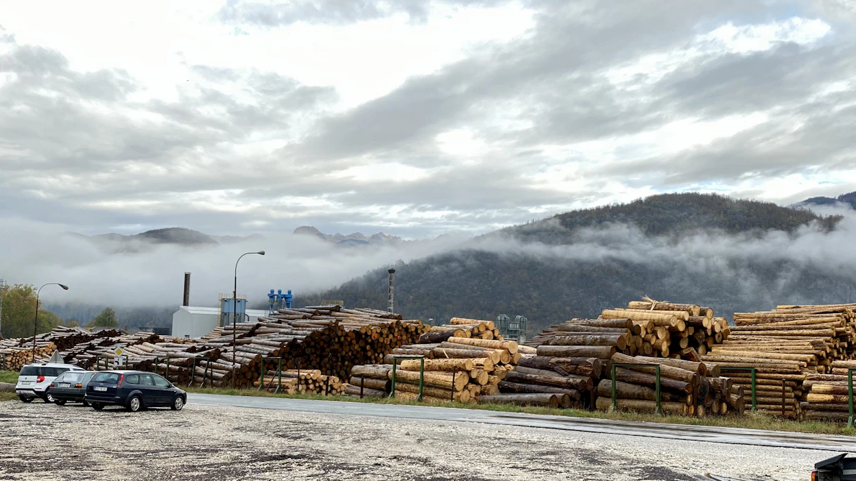 Tukin ja sahatavaran hinnat ovat laskeneet tänä vuonna Euroopassa. Kuvassa Bohinjska Bistrican saha Sloveniassa.