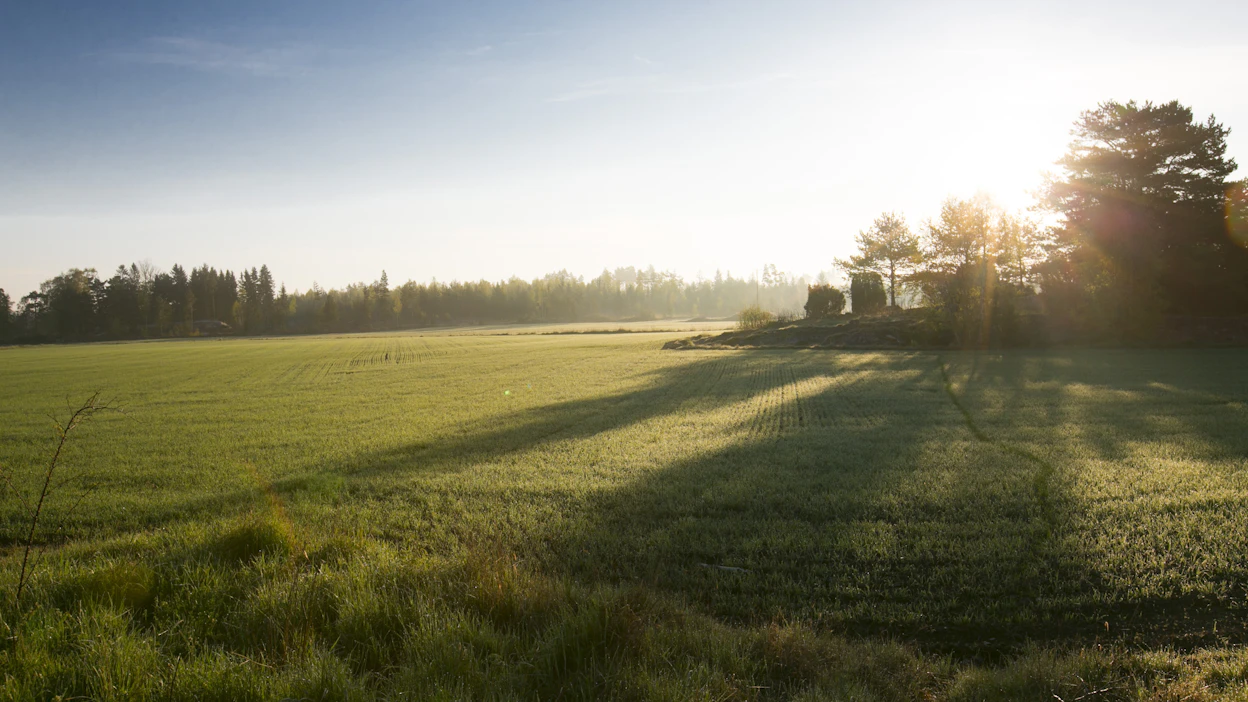 Aamuohjelmat saattavat opettaa ja luoda yllättäviäkin näkökulmia uusiin asioihin.