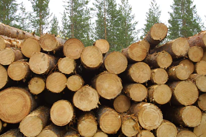 Yhteismetsät ovat haluttuja kumppaneita puukaupassa. 