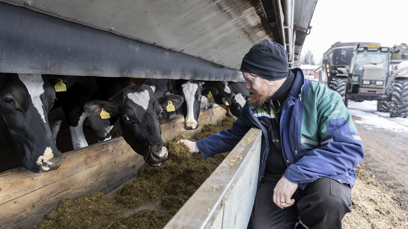 Tavoite on, että säilörehun D-arvo olisi 690–710 ja raakavalkuaisia yli 160 grammaa kilossa kuiva-ainetta, kertoo maidontuottaja Jyrki Koivumäki Iso-Vihun tilalta Jämijärveltä. 
