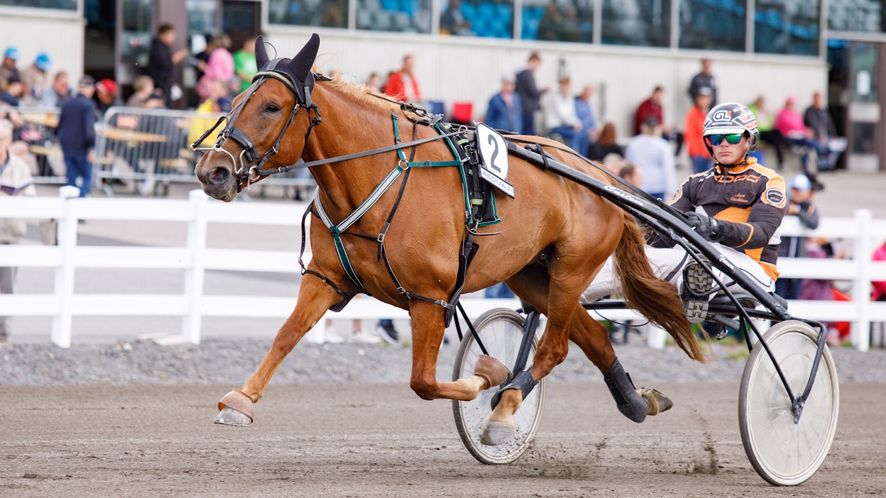 Antti Veteläinen oli Aamulennon vakio-ohjastaja tamman kilpaillessa Mari Salmisen valmennuksesta.
