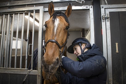 Kerel van het Sterrebos on yllättänyt ratsastajansa Jasmin Seppälä-Geerinkin nousemalla muutamassa vuodessa harrasteratsusta maailmancup-luokkiin.