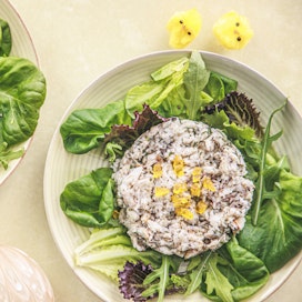 Herkullinen tartar tarjotaan salaatin ja graavattujen keltuaisten kanssa.