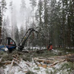 Jos metsänomistaja haluaa ja antaa suostumuksensa, hakkuiden yhteydessä monitoimikoneiden tuottamalla metsävaratiedolla saadaan tarkennettua metsäomaisuuden tilaa.