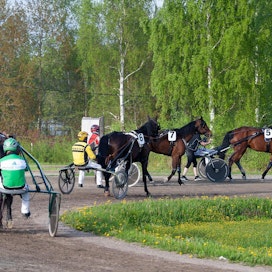 Hippoksen kaksi vuotta isolla työllä valmistelema tulevaisuusstrategia ei välttämättä nähdä Jyväskylän kokouksessa. Vaikka termi on eri, puhutaan samoista asioista kuten hevosen omistamisen houkuttavuudesta ja kilpailevien hevosten määrästä.