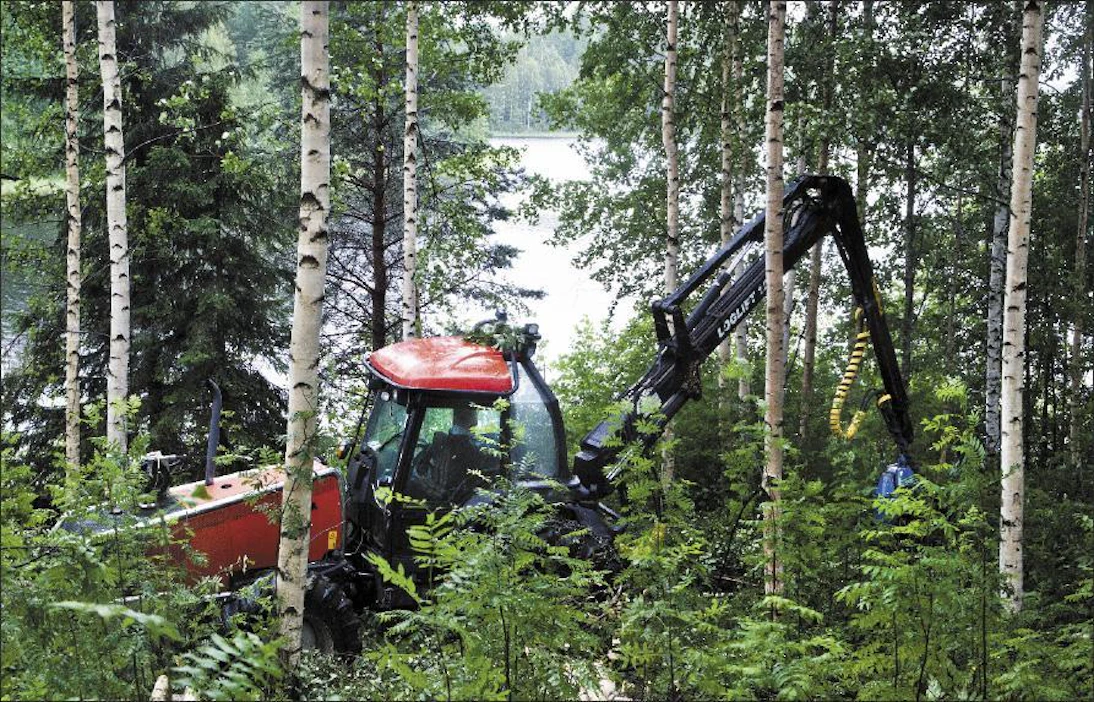 Hiljaiselon odotetaan loppuvan metsissä, kunhan lomakausi päättyy. Kari Salonen