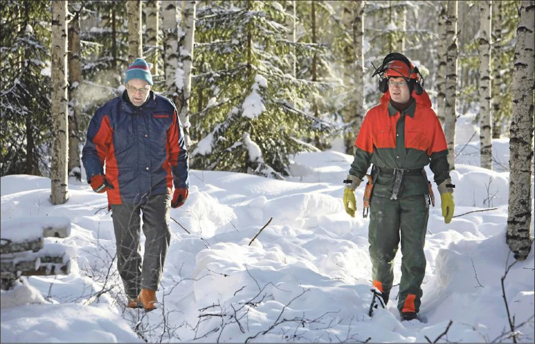 Metsäyrittäjät Jouko Jaatinen (vas.) ja Pekka Okkonen katselemassa Okkosen savottatyömaata Kontiolahdessa. Pureva pakkanen ei näiden miesten työntekoa haittaa. Mikko Makkonen